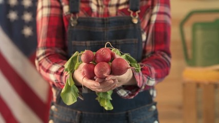 Wall Mural - Female farmer holding bunch of harvested garden radishes