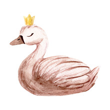 Watercolor Swan. Hand Painted Illustration Isolated On White Background. Character Swans For Children's Design