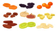 Set of images of various dried fruits. Vector illustration on white background.