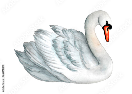 Fotografía Watercolor white swan illustration, romantic and beautiful bird