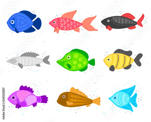 Vector Set Of Colorful Abstract Fish Undersea World Aquarium It