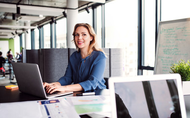 Young businesswoman with laptop sitting in an office, looking at camera.