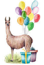 Watercolor Party Lama Card. Hand Drawn Illustration With Air Balloons, Gift Box, Grass And Llama Isolated On White Background. Holiday, Birthday Illustration For Design, Print, Fabric Or Background.