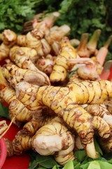 Canvas Print - Fresh galangal for cooking in the market