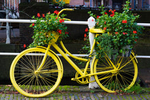 Yellow Painted Bike Against With Flower Pots, Geraniums, Against White Fence Along Canal In Netherlands