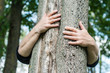 © pixarno - closeup of woman hugging a tree trunk in a forest