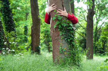 closeup of man hugging a tree trunk in a forest