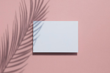 Tropical palm leaf shadow on a white card frame. Exotic summer background.