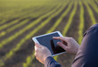 © Budimir Jevtic - Farmer working on tablet in field