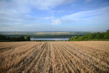 Field with river view