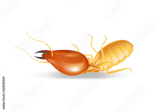 Dead Termites Isolated On White Background Insect Species Termite Ant Eaten Wood Decay And Damaged Wooden Bite Cartoon Termite Clip Art Animal Type Termite Or White Ants Illustration Buy This Stock Termite character holding a golden worlds greatest dad trophy #45551 by dennis holmes designs. adobe stock
