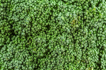 Close-up of green broccoli texture - abstract organic food background
