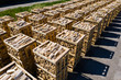 Rows of firewood stacked on pallets seen from above