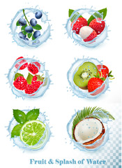 Canvas Print - Set of different water splashes with fruit and berries. Blueberry, lychee,  raspberry, kiwi and strawberry, lime, and mint, coconut. Vector Set.