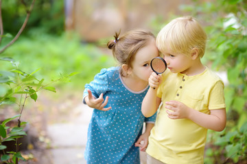 Kids exploring nature with magnifying glass. Close up. Little boy and girl looking with magnifying glass