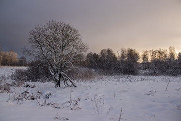 Snowy field at sunset in winter. Beautiful sky. The sky before the snow. Gray sky and sun. Evening sun Winter sunset.