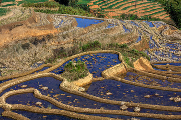 Honghe Yuanyang, Samaba Rice Terrace Fields - Baohua township, Yunnan Province China. Sama Dam Multi-Color Terraces - grass, mud construction layered terraces filled with water, blue sky reflection