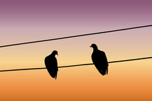 Silhouettes Of Two Pigeons Sitting On A Wire Against The Sunset Sky