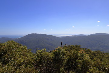 Sticker - wilsons promontory