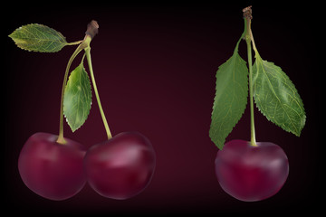 Wall Mural - three ripe cherry berries with green leaves on dark background