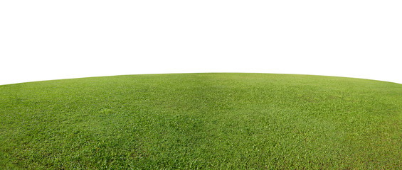 Green grass field isolated on white background .