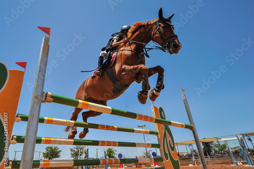 Fotomural The bottom view on the rider on horse jumping over a hurdle during the equestria