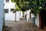Fototapeta Uliczki - グラナダの街路/Granada, Spain