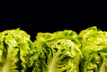 Wall Mural - Fresh green salad isolated on black background