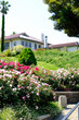 © Matthewadobe - rose garden in Yokohama city