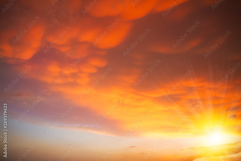 Beautiful sky with clouds before sunset, sun with sunshine - obrazy, fototapety, plakaty 