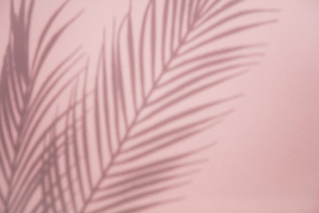 Poster - Tropical palm tree leaf shadow on a pastel pink background. Summertime layout