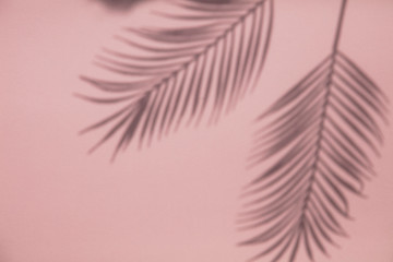 Wall Mural - Tropical palm tree leaf shadow on a pastel pink background. Summertime layout