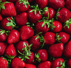 Wall Mural - Delicious fresh, ripe strawberries with tails, texture of large strawberries