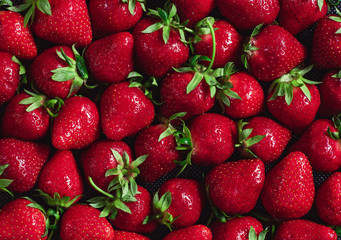 Wall Mural - Delicious fresh, ripe strawberries with tails, texture of large strawberries