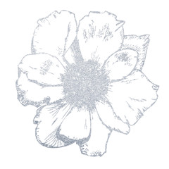 Wall Mural - Hand-drawn silver flower. Illustration of a flower on a white background