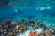 © klevit - Tourists snorkeling, Turneffe Atoll, Belize Barrier Reef, Belize