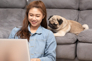 Woman typing and working on laptop with dog Pug breed lying on her knee and looking on screen feeling happiness and comfortable,Friendly Concept