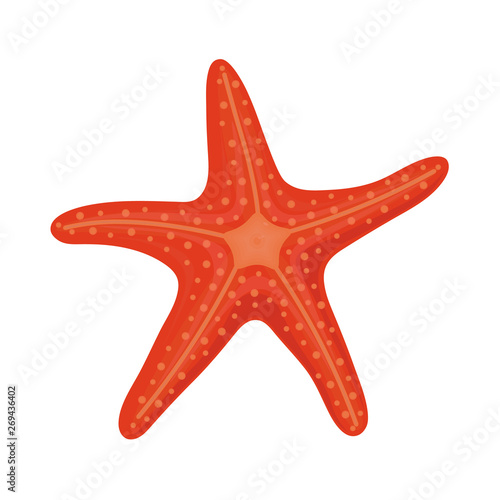 Fotografía Red starfish in cartoon style for summer design elements isolated on white backg