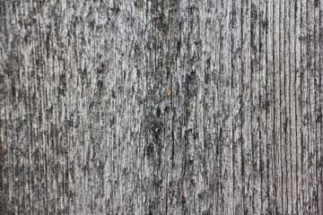 Grey old weathered wood Boardclose up - vertical texture for background