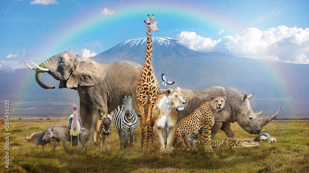 Magical African Wildlife Safari Scene - obrazy, fototapety, plakaty 