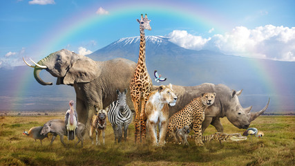 magical african wildlife safari scene