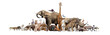 Wild Zoo Animals on White Web Banner