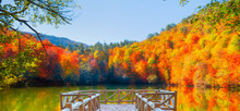 Autumn Landscape In (seven Lakes) Yedigoller Park Bolu, Turkey
