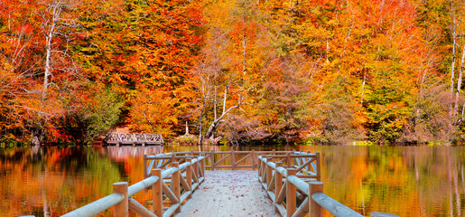 Autumn landscape in (seven lakes) Yedigoller Park Bolu, Turkey