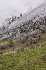 Wall Mural - fresh snow in svanetia