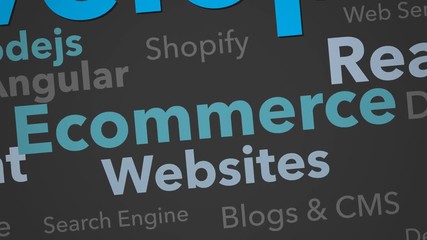 ecommerce web development application keywords