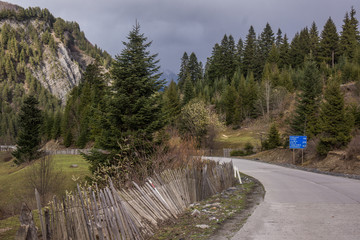 Wall Mural - spring time in svanetia