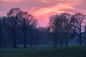 Wall Mural - Sunset in countryside with pink sky.