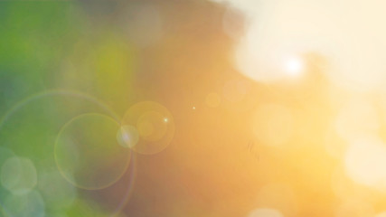 Wall Mural - nature yellow bokeh sun light flare and blur leaf abstract texture background, blurred natural green