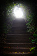Bright light at the end of stairs through a dark, wooded tunnel